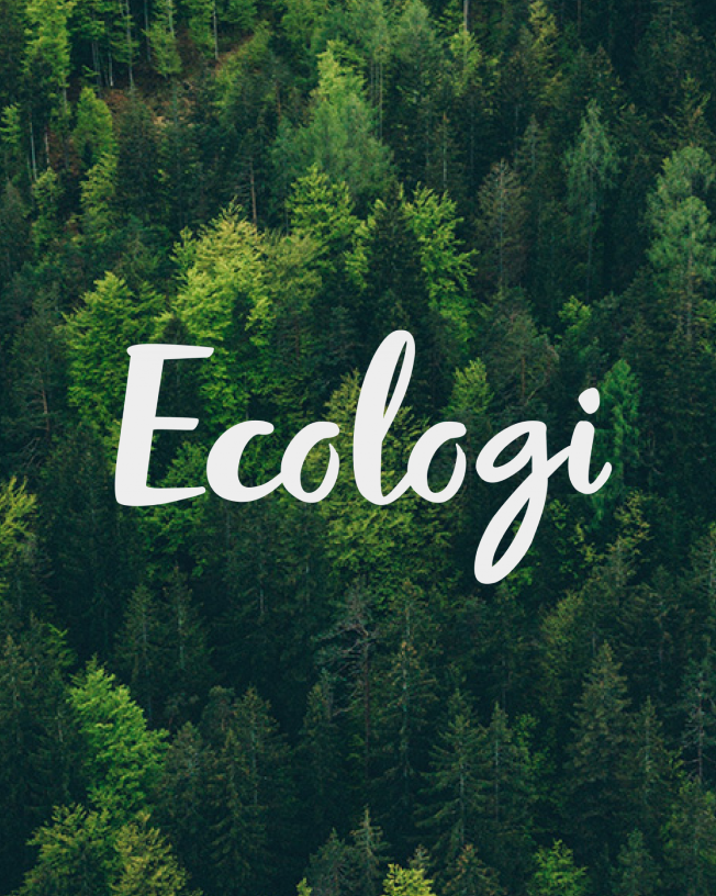 Ecologi